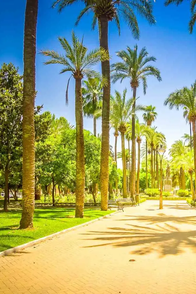 Tree Care and Arbor Maintenance by NewScape Landscaping in Estero, FL