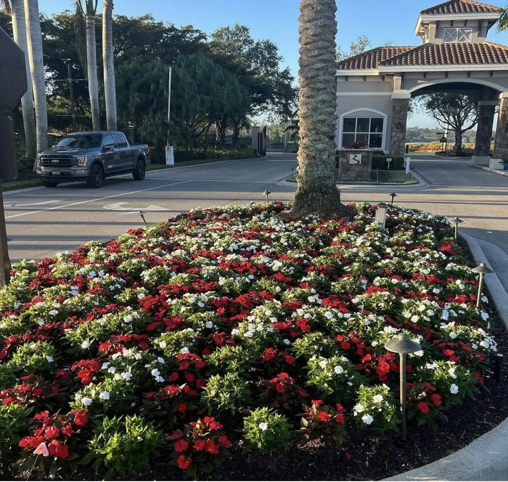 Landscaping Design Lee and Collier County, FL