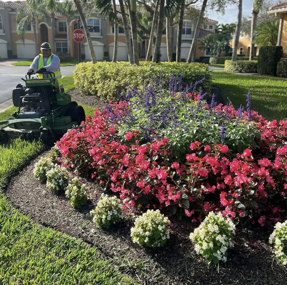Landscape Maintenance by NewScape Landscaping