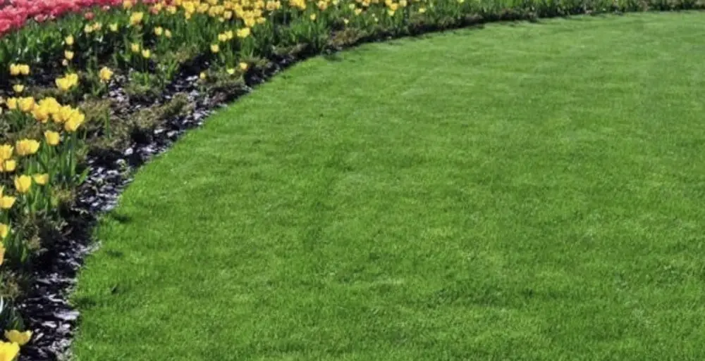 Landscaping Design, Install and Maintain in Lee & Collier County, FL