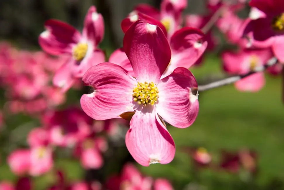 About NewScape Landscaping