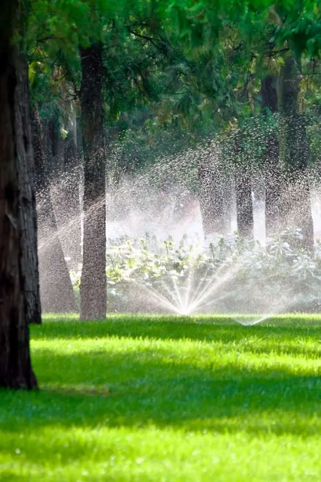 Irrigation Maintenance by NewScape Landscaping in Estero, FL