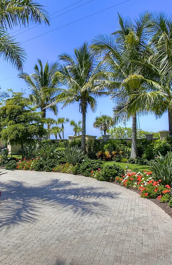 About NewScape Landscaping in SW Florida